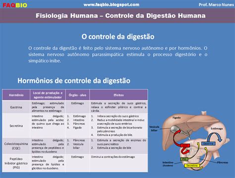 Faqbio Apoio Ao Estudo De Biologia Ficha Resumo Faqbio