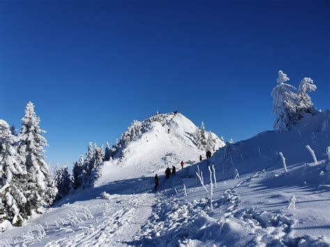 Hiking in Brasov, Hikes in the Carpathian Mountains of Romania