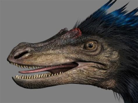 Chicken embryo experiment reveals their dinosaur origins