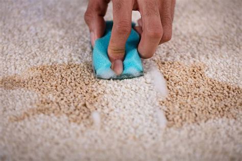 5 Carpet Cleaning Tips For Homeowners