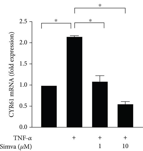 Effects Of Simvastatin On Tnf α Induced Cyr61 Production In Go Orbital