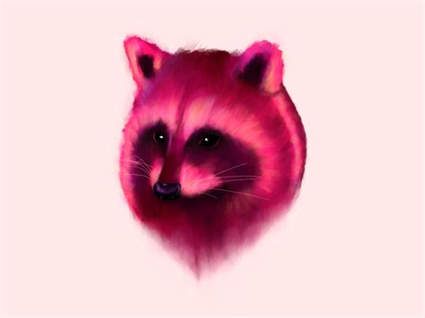 Toronto Raccoon by David Stubbs on Dribbble