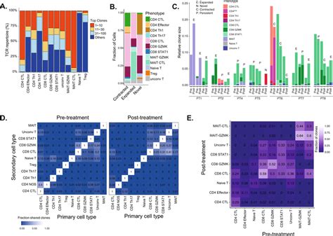 T Cell Clonotype Analysis A Distribution Of The Tcr Clonotype Frequency