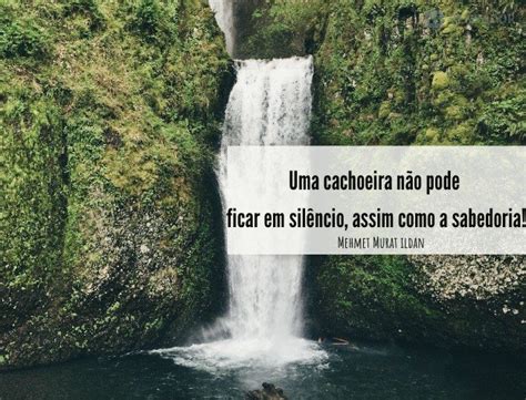 As 60 Melhores Legendas Para Fotos Na Natureza Pensador