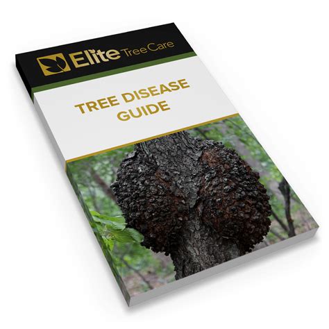 Tree Disease Guide Elite Tree Care