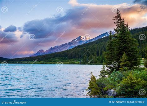 Sunrise at Bow Lake in Banff National Park, Alberta Stock Image - Image of icefields, alberta ...