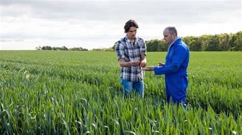 The Landscape Of Agricultural Biotechnology Technology Networks