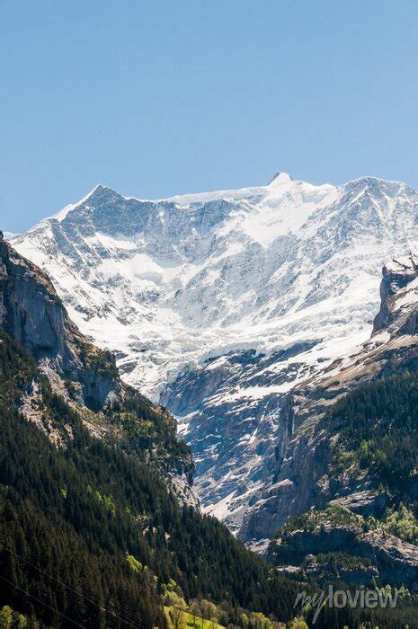 Grindelwald Alpen Berner Oberland Grindelwaldgletscher