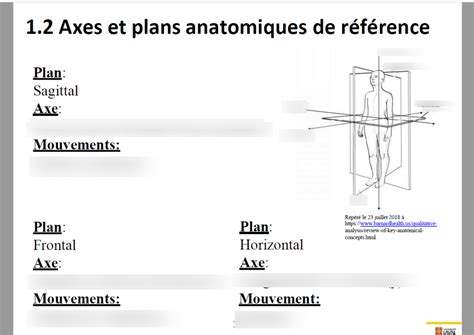 Diagram Of Plans Et Axes Quizlet