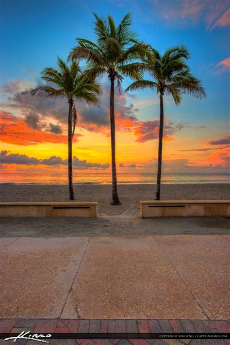 Hollywood Beach Along The Broadwalk Broward County Florida Royal
