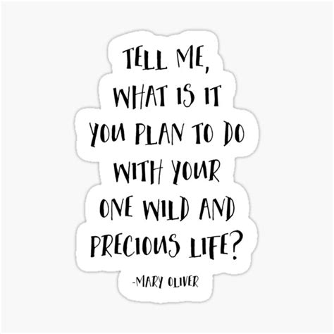 Tell Me What Is It You Plan To Do With Your One Wild And Precious Life