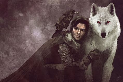 Direwolves In 2019 Fantasy Book Series Best Fantasy Book Series Game Of Thrones Art