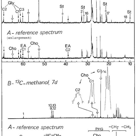 Proposed Metabolic Pathway Involved In Methanol Assimilation By Download Scientific Diagram