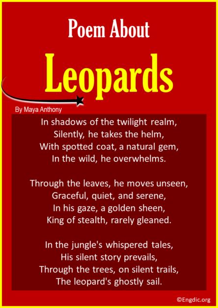 10 Best Short Poems About Leopards EngDic