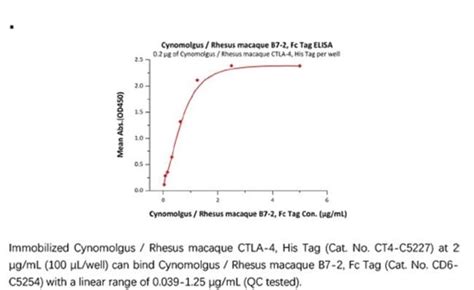 ACROBiosystems Recombinant Protein Cynomolgus Rhesus Macaque B7 2