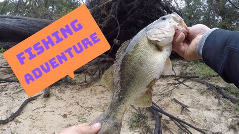 Bank Fishing At Lake O The Pines Dam Youtube