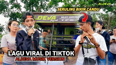 Yang Viral Di Tiktok Bajang Lauk Kawat Versi Aldeva Musik Youtube