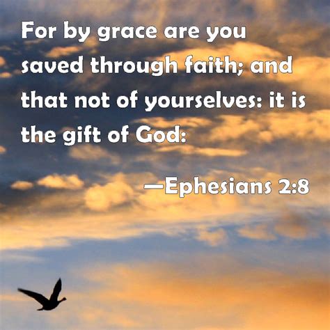 Ephesians For By Grace Are You Saved Through Faith And That Not Of