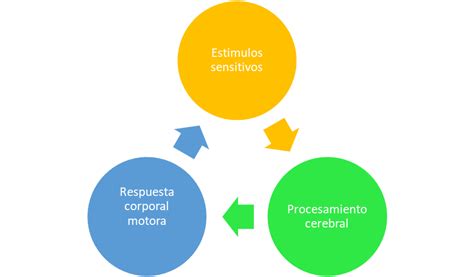 Capsulas Educativas Digitales Febrero