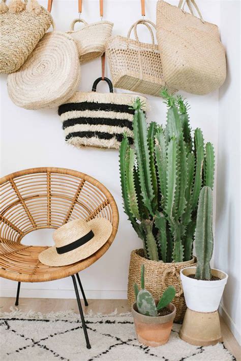 20 Aesthetic Plant Ideas That Room Make Instagramable HomeMydesign