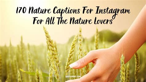 Nature Captions For Instagram For All The Nature Lovers