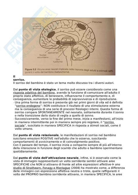 Riassunto Esame Psicodinamica Delle Relazioni Familiari Prof Mineo