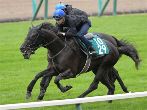 藤田晋氏のドーブネがデイリー杯2歳sをパスして朝日杯fs直行 競馬ニュース Netkeiba