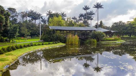 Qué hacer en Bogotá Awalí Ecoturismo Lugares para conocer