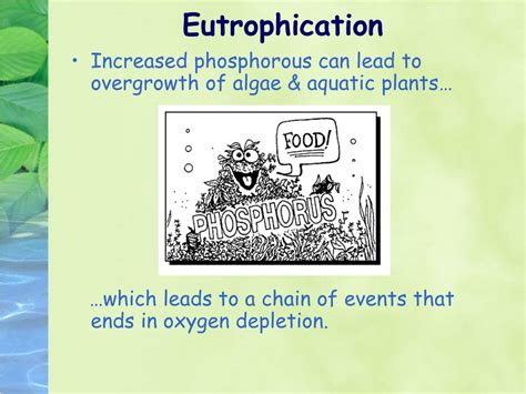 Ppt Assessing Aquatic Ecosystems Powerpoint Presentation Free Download Id 1450116