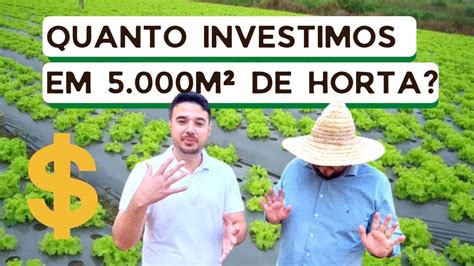 Quanto custa montar uma horta Quanto investimos no sítio Love