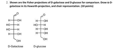 D Galactose Fischer Projection