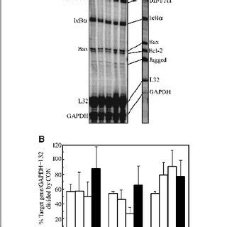 NF N B DNA Binding Activity In The WEHI 231 Cells With Monoterpene