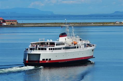 Coho Ferry Schedule Elsi Nonnah