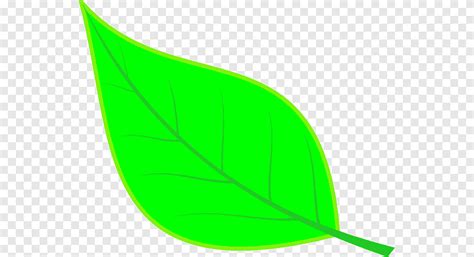 leaf  angle leaf angle leaf png pngegg