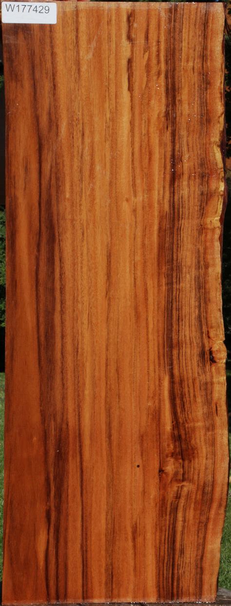 Patagonian Rosewood – Cook Woods