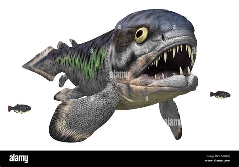 Prehistoric Fish Rhizodus Isolated On White Background Stock Photo Alamy