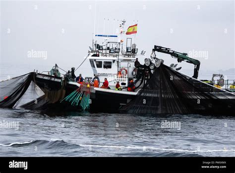 Barcos De Pesca De Cerco Stock Photo Alamy