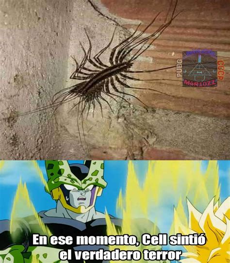 Miedo Total Meme Subido Por Marioz Memedroid