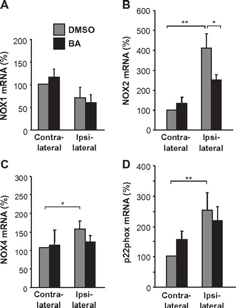 Figure 1 From Betulinic Acid Protects Against Cerebral Ischemia