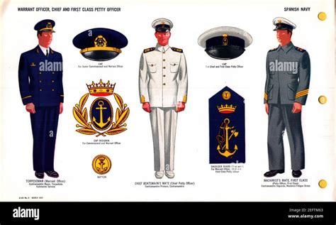 Warrant Officer Insignia Hi Res Stock Photography And Images Alamy