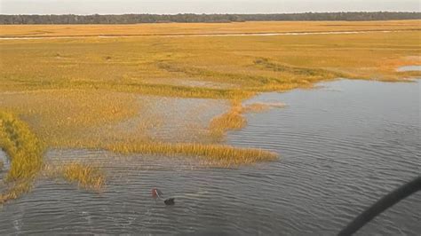 Pilot Rescued After Plane Crash Into Ga Marsh Coast Guard Idaho