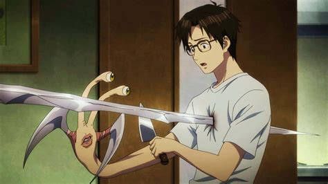 parasyte  maxim featuring shinichi izumi wallpaper