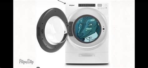 Whirlpool needs a wash in a whirlpool. : r/WingsOfFire