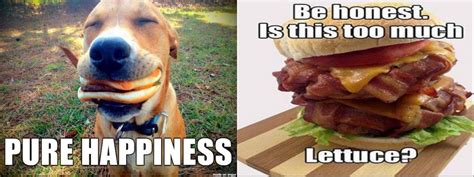 Delicious Cheeseburger Memes In Honor Of National Cheeseburger Day