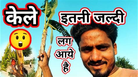 इतनी जल्दी केले लग आये है 😲 Youtube