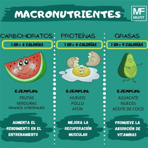 Cuadro Comparativo De Los Macronutrientes Y Micronutr