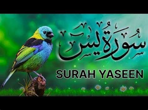 Surah Yasin Yaseen 0025 36 With Full Arabic Beautiful Recitation