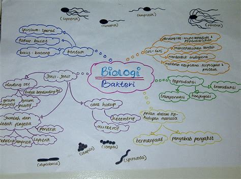 Contoh Mind Map Biologi Sel - IMAGESEE