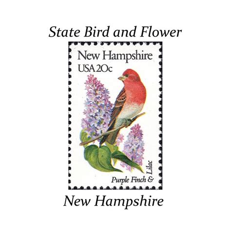 Five 20c NEW HAMPSHIRE State Bird And Flower Stamp Vintage Unused US