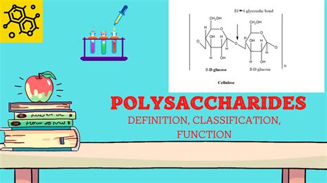 Polysaccharide: Definition, classification, and 4 reliable function ...